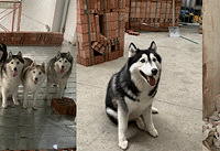 7ֻ������װ�޺�����������ˢ��ˮ����һ�Լ๤