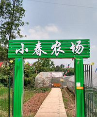 �����ڰ��ҵ����׹��£�������Ů�Է������ѵܵܺͼ������ۺ�����