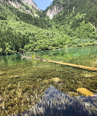 ��կ����̫���Ⱥ��ߵ�̫��������������ɹƤ��ɹ���˺��˼�����