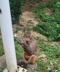 ǭ��ɽ�ĺ������������ҿ��Կ�һ�졣