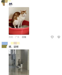 ��èɰ��̫С����èÿ�α�������so����