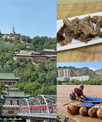 2天去了一趟兰州,羊肉可太香了