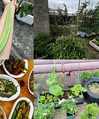 ¥���ֲ˿��ֶ࣬����ʶ�˰����Եċ݋�