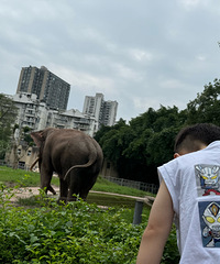 [��¼]ʱ����úÿ�ÿ죬��������С�������ĳ�����