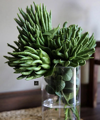 ���ָ̲�������޹����컨�壡�����˱ǣ�����ˮ��