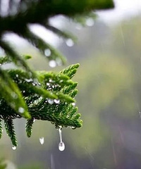 ΪʲôܶŮԳɣðܸ߷׬18