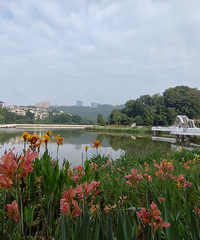 ��ͯ·�ܱߵķ�����ô��