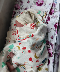 [����]�������к���ɩ���Ƕ��µľ����𣿴��һ��������