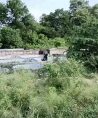 �й�Ů����̩�����ܺ�֫�⣬������������ʾ�ӷ�������Ϊ����