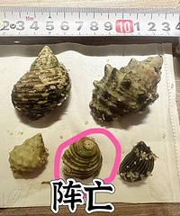 ͬ�³��ﱻ�ϰ����ˣsi�ˣ���������ϰ������