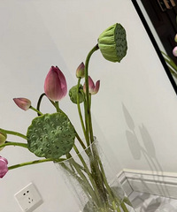 ��������ˣ���������ļ����޶����ɻ�������ֶ��ص���