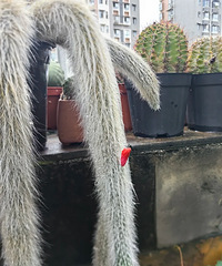 ��β��������������ƿ���������3��һ����10��