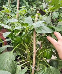 �ཷ����գ���óԲ��꣬���Ƽ�������ô��