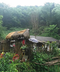 家有小院邀网友免费住