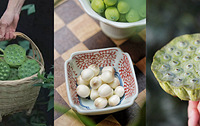 鲜水果莲蓬开团,2.5斤/箱顺丰包邮