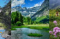 �����»��ߣ�����һ�Ķ�����������