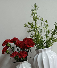 ��©�Ĵ��շ�ʽ���ӣ����˴�� �廨�ܺÿ�