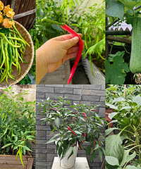 �ཷ����գ���������ˣ����Ƽ�����