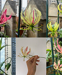 �����ٺ�����̫�����ˣ�ÿ�춼�о�ϲ