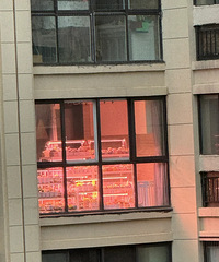 被邻居误会了,我家冒红光,只是在给多肉开补光灯