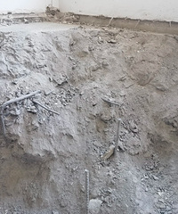 ʵ��Ʈ��������֪�������ܲ�������