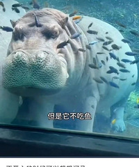 ��С�ķ����˰ְ�д�����飿·�������϶�Ҫ�һ��