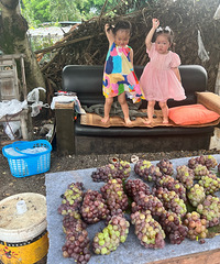 [����]��ĩ���޿��ȳ裬ȥ�ɽժ���ѣ���ȥ�˻������Ͻ�