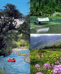 ����һ�������»��ߣ�����������