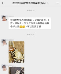 һ�乤���������Ͱ�è������������Ĵ�������