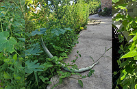 ����~~·��ż�������������Ĺϣ��ŵ�ԭ�����