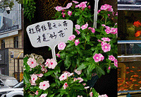 ֱ�������ϻ��У������㡢��ɽ��ľ���У��ù�ú�