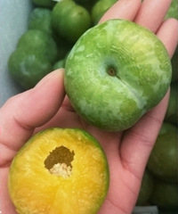 ����ˮ���Ƽ������ӣ�ҡ���ݮ����û�в���