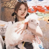 双鱼座教师来找男朋友