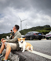 94171CMһֻ»С飬гз̲Ⱦ