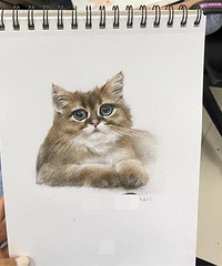 93��160CM����20���ѧУ������ʦ���飬ϣ���㳵���߱�