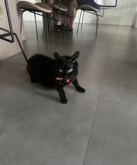 ��˾ͬ�����ϰ壬������ϰ��ͳԵģ�����ʲô����