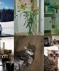 ������������dazz��ԭͼ�Դ���Χ��