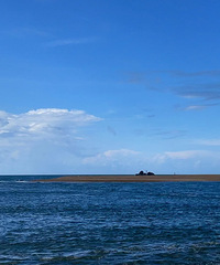 海口—博鳌—陵水—分界洲岛,赶海收获满满