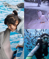 ����30�ȣ��������ǡ��ܸ��