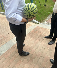 ¥��ժ��Ұ�����ϣ������˵�����ϣ��⡤��������