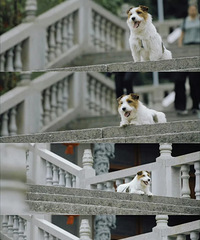 ����λ���Ļ�����������Ը��Ϊ�ⲿ����������