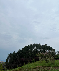 �й����빫԰