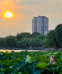 ��ͬ��һ��ȥ���ϣ��Ӵ������ϡ��ٻ��޵�ɽ������ݡ�ǧ��ɽ