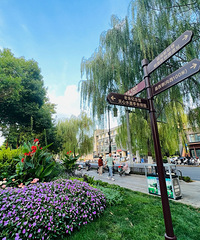 ��ͬ��һ��ȥ���ϣ��Ӵ������ϡ��ٻ��޵�ɽ������ݡ�ǧ��ɽ