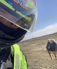 89170CMְҵĸ飬ͽгĦг