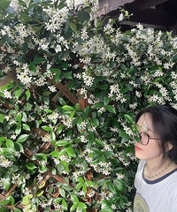 91��155CM������ְҵС������飬ϣ���Է�86~94��