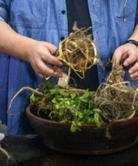 ����Կ�ҩ��