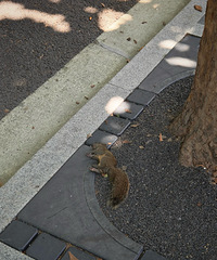 �죬�Ϻ������컹�ȣ����������ڵ�����