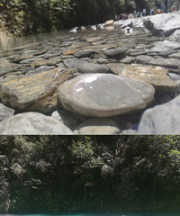 37��156CM�޶�����ٸ��ҵ�С������飬���¹�����ҵ