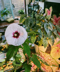 ��ܽ�����ڿ�����������������Cλ